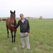  ,   , 43 ,   ,   , c 