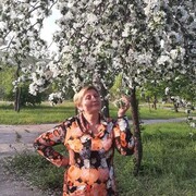  Chojnow,   , 60 ,   ,   , c , 