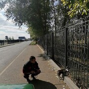 ���������� ��������, ������� ������, 52