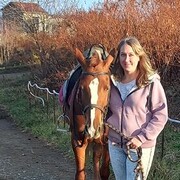 ���������� �����������, ���� ������� ������, 33 ����, ������������ ��� c�������� ���������, ���������