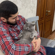 ���������� ������, ���� ������� ������, 31 ���, ������������ ��� ������, ����� � ���������