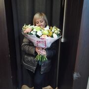  ,   , 46 ,   ,   