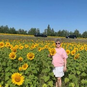 ���������� �������, ���� ������� �������, 54 ����, ������������ ��� ������, ����� � ���������