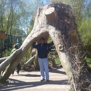   ,   , 51 ,   ,   