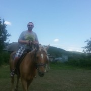 ���������� ���������, ���� ������� ���������, 48 ���, ������������ ��� ����� � ���������, c�������� ���������