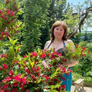  ,   , 48 ,   c 