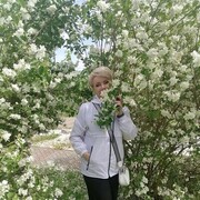  ,   , 46 ,     , 