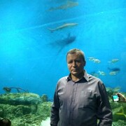  ,   , 58 ,   ,   , c 