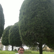  -,   , 32 ,   ,   , c , 