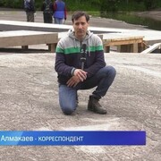  -,   German, 39 ,   ,   