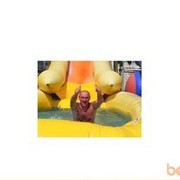  ,   , 53 ,  