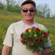  ,   , 71 ,   