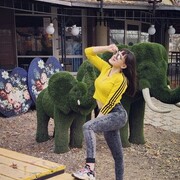 ���������� �������, ���� ������� �����, 27 ���, ������������ ��� ������, ����� � ���������, c�������� ���������