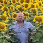  ,   Vlktor, 54 ,   ,   , c , 