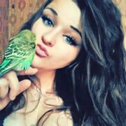 ���������� �����-���������, ���� ������� �����, 32 ����, ������������ ��� ������, ����� � ���������