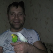 ���������� ������������, ���� ������� ������, 38 ���, ������������ ��� ������, ����� � ���������, c�������� ���������