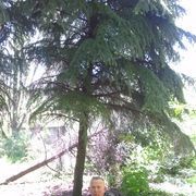  ,   Alex, 64 ,     , c 
