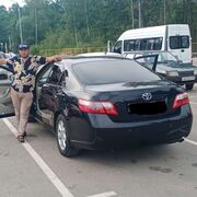 ���������� ������, ���� ������� �����, 31 ���, ������������ ��� ������, ����� � ���������