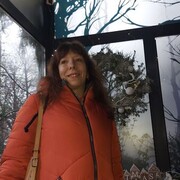 ���������� ���������, ���� ������� �������, 43 ����, ������������ ��� c�������� ���������