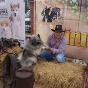 ���������� �����������, ���� ������� �����, 41 ���, ������������ ��� ������, ����� � ���������