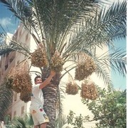  ,   , 65 ,     , c 