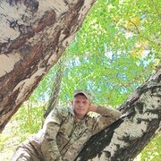 ���������� ����������, ���� ������� ������, 41 ���, ������������ ��� ������, ����� � ���������