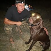 ���������� ������������, ���� ������� �����, 48 ���, ������������ ��� ������, ����� � ���������, c�������� ���������