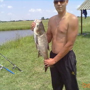 ���������� ��������, ���� ������� ����, 39 ���, ������������ ��� ������