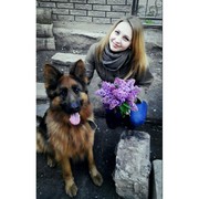 ���������� �����-���������, ���� ������� ���������, 27 ���, ������������ ��� ������, ����� � ���������, c�������� ���������