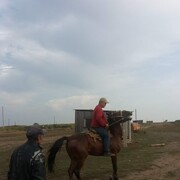 ���������� ��������, ���� ������� ��������, 44 ����, ������������ ��� ������, ����� � ���������, c�������� ���������, ���������