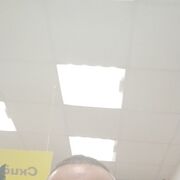 ���������� ������������, ���� ������� ��������, 41 ���, ������������ ��� ������, ����� � ���������