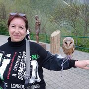  ,   , 59 ,   ,   