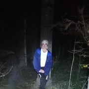  ,   , 37 ,   