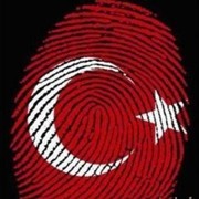 ���������� �����, ���� ������� DJAMIL, 37 ���, ������������ 