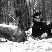 ���������� ������, ���� ������� ������, 37 ���, ������������ ��� ������, ����� � ���������, c�������� ���������, ���������