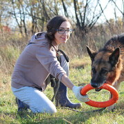 ���������� ������, ���� ������� ���������, 34 ����, ������������ ��� ������, ����� � ���������, c�������� ���������