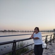  -,   , 49 ,   ,   