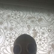  ,   , 45 ,  