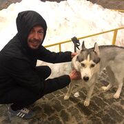 ���������� ������������, ���� ������� ����, 39 ���, ������������ ��� ������, ����� � ���������