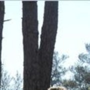 ���������� ����, ���� ������� ��������, 31 ���, ������������ ��� ������, ����� � ���������, c�������� ���������