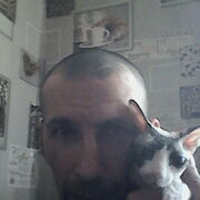 ���������� �����������, ���� ������� �������, 48 ���, ������������ ��� ������, ����� � ���������, c�������� ���������, ���������