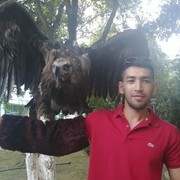 ���������� �������, ���� ������� Umid, 31 ���, ������������ ��� ������, ����� � ���������, c�������� ���������, ���������