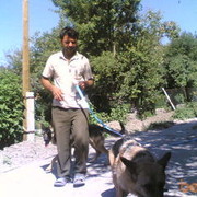 ���������� ���������, ���� ������� ��������, 46 ���, ������������ ��� ������, ����� � ���������, c�������� ���������