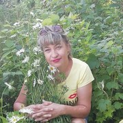  ,   , 41 ,   c , 