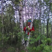 ���������� ���������, ���� ������� �������, 59 ���, ������������ ��� c�������� ���������