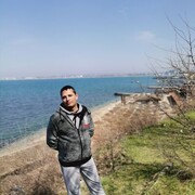  ,   Vitek SVK, 33 ,   ,   