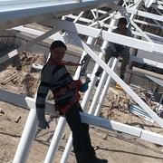 ���������� ������, ���� ������� �����, 43 ����, ������������ 