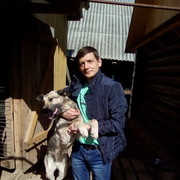 ���������� ������, ���� ������� ������, 50 ���, ������������ ��� ���������