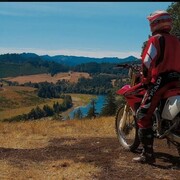 ���������� ����������, ���� ������� Alex, 40 ���, ������������ ��� ������