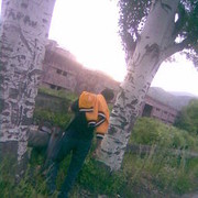  ,   Armo, 38 ,   ,   , c 